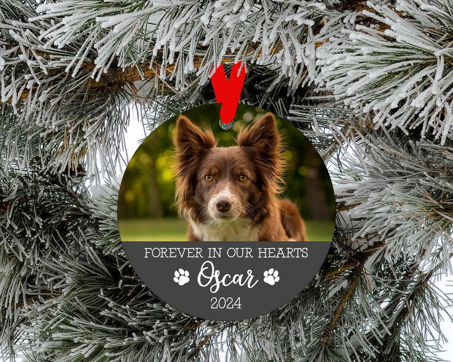 Pet Memorial Photo Ornament